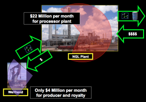 Plant Pie Diagram